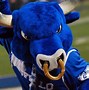 Image result for CSAs Mascot