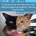 Image result for WTF Fun Facts New
