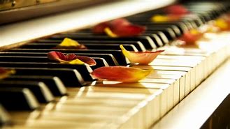 Image result for Relaxing Piano Instrumental Music