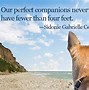 Image result for Animals Thoughts