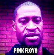 Image result for Cats Pink Floyd