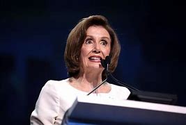 Image result for Nancy Pelosi Clothing