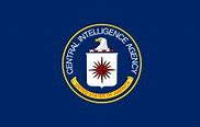 Image result for CIA Insignia