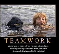 Image result for Work Funny Quotes About Teamwork
