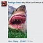 Image result for Funny Shark Memes