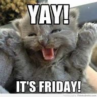 Image result for Happy Friday Meme Pets