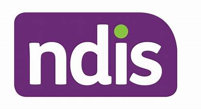 Image result for ndis logo