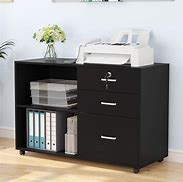 Image result for Tall Filing Cabinet for Handing Files