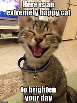 Image result for Brighten Up Your Day Memes Funny
