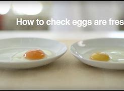 Image result for How to Tell If Fresh Eggs Are Good