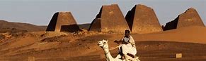 Image result for Famous Animals in Sudan
