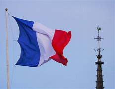 Image result for Vichy France Flag