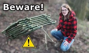 Image result for Human Traps and Snares