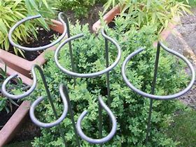 Image result for Vegetable Supports