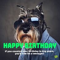 Image result for Funny Birthday Sayings