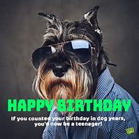 Image result for Humorous Birthday Wish Quotes