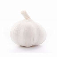 Image result for Garlic Bulb PSD