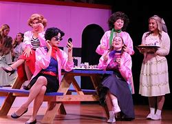 Image result for Pink Ladies in Grease