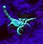Image result for Why Do Scorpions Glow in UV