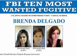 Image result for FBI Top 10 Most Wanted Women
