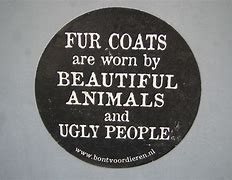 Image result for Fur People