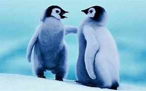 Image result for Old Dogs Penguin