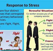 Image result for Behavioral Stress