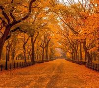 Image result for Best Autumn Wallpapers