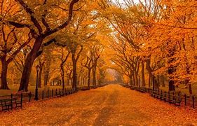 Image result for Pretty Autumn Backgrounds