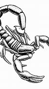 Image result for Pencil Drawings of Scorpions
