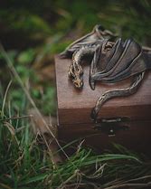 Image result for Small Dragon Box