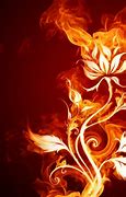 Image result for Dragon Fire Flower