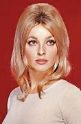 Image result for Sharon Tate Height