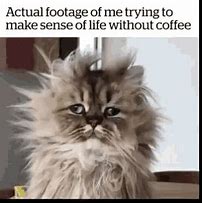 Image result for No Coffee Funny