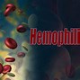 Image result for Types of Hemophilia