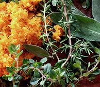 Image result for Herbs De Provence Orange