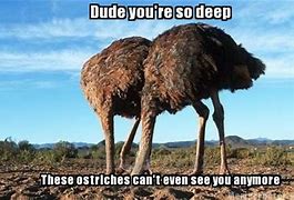Image result for You Are so Deep Funny