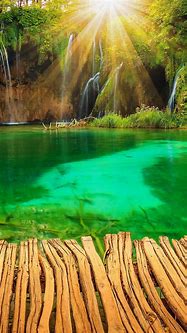 Image result for Nature iPhone Wallpaper