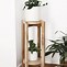 Image result for Wooden Pedestal Plant Stand