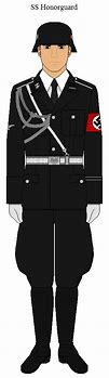 Image result for SS Guard Costume