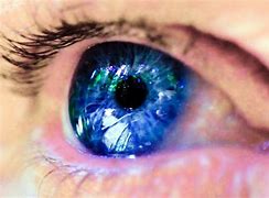 Image result for Hans Frank Eye Color