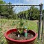 Image result for Tomato Cage Stake