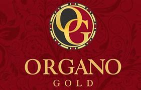 Image result for Organo Gold Reviews