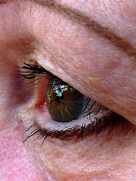 Image result for Olivia Wilde Eye Color