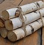 Image result for Birch Logs for Sale