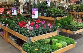 Image result for Plant Nursery Near Me