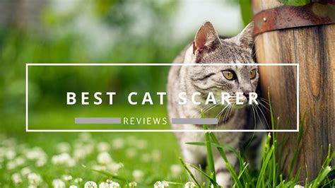 Best Cat Scarer and Cat Repellent Reviews UK