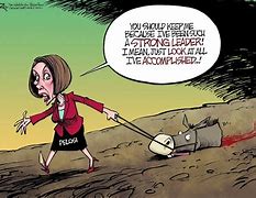 Image result for Nancy Pelosi Speech Cartoon