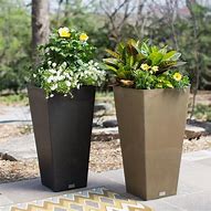 Image result for Tall Flower Pots Outdoor