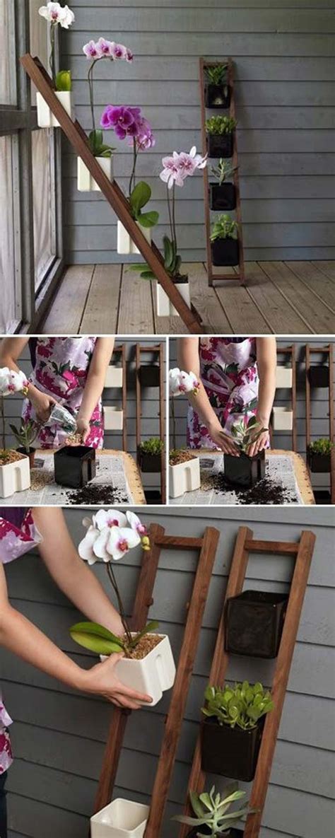 Top 24 Awesome Ideas to Display Your Indoor Mini Garden   Amazing DIY  